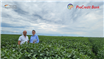 ProCredit Bank continuă să susțină sectorul agricol prin finanțarea Grupului Agro Nevada Tim cu 1,8 milioane de EURO