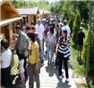 Distractie si voie buna la Festivalul Verii 2014, in Parcul “Alexandru Ioan Cuza”, in zona bisericii maramuresene! 
